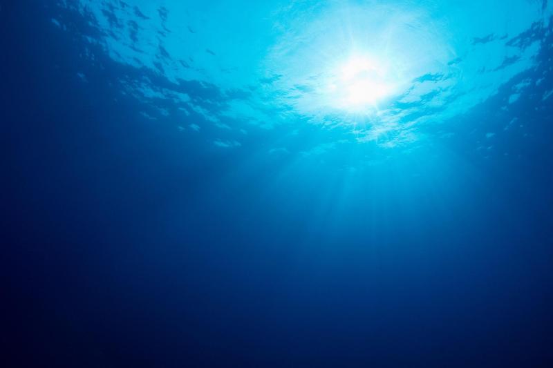 Imagen del fondo del mar