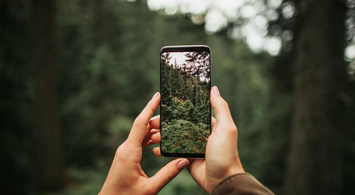 Mujer haciendo foto con el móvil de un bosque