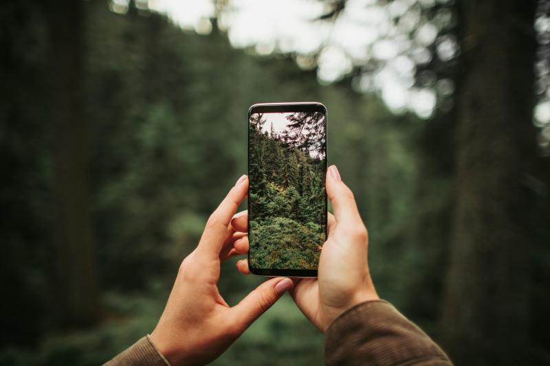 Mujer haciendo foto con el móvil de un bosque