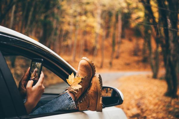 Mujer toma foto de hoja amarilla brillante con teléfono móvil sacando las piernas de la ventana del coche