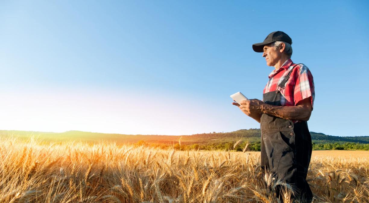 Imagen campesino en campo de trigo