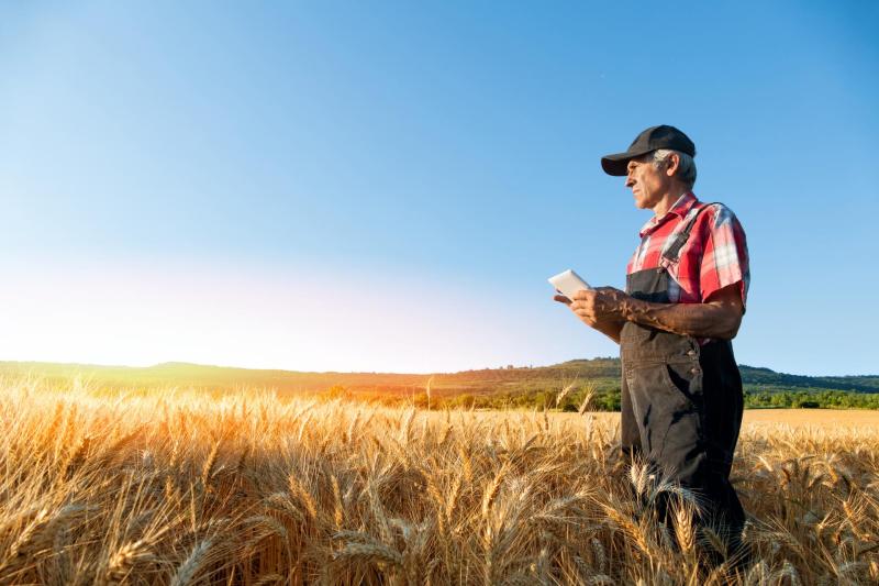 Trabajador en el campo con un móvil
