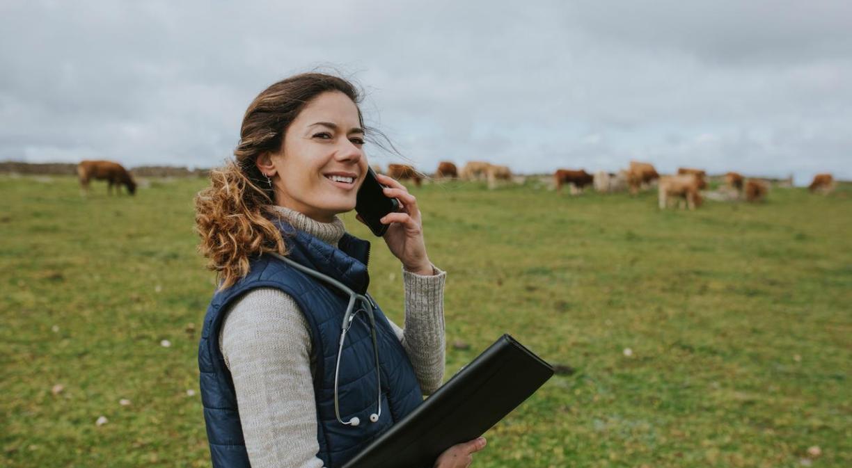 Veterinari en un campo hablando por el óvil