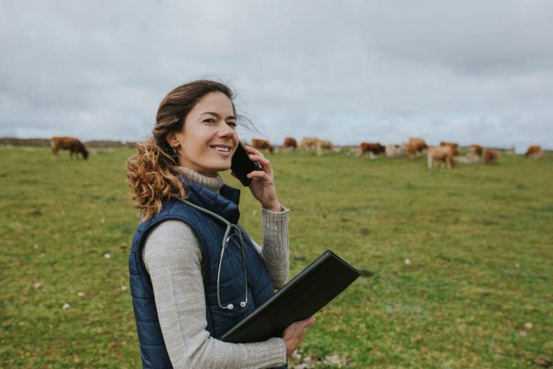 Veterinari en un campo hablando por el óvil